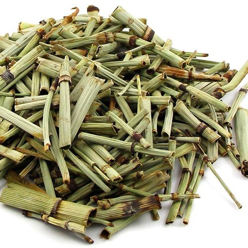 Cavalinha - UaiFlora